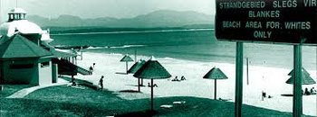 Historical scene on a beach in South Africa depicting a sign saying beach area for whites only.